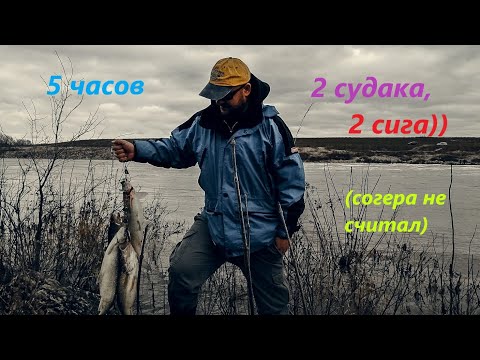 Видео: Рыбалка в Канаде.Локпорт,Манитоба.Рыба кишит!!!Lockport,Manitoba walleye fishing.