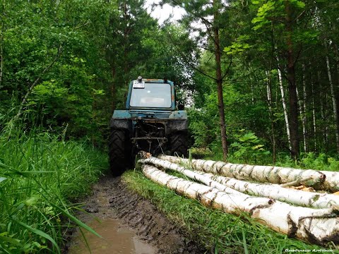 Видео: На тракторе МТЗ-80 за дровами по грязи! On a tractor in the mud