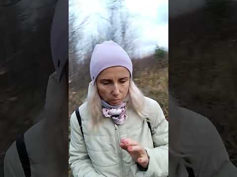 Видео: Почему не везёт в отношениях Почему каждый мужчина какой-то не такой как улучшить отношения , 