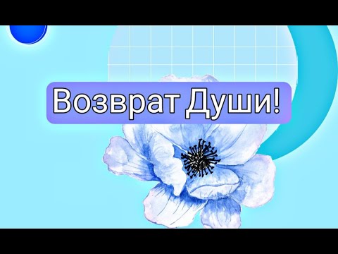 Видео: ВОЗВРАТ ДУШИ🙏💥🍀💯🐟