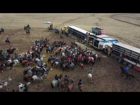 Видео: Кокпар Депутат Аманбай