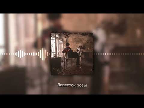 Видео: MellSher - Розы завяли (Этапы идеальных разрушений, альбом 2024)