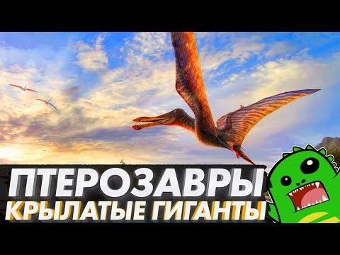 Видео: ПТЕРОЗАВРЫ — первые летающие ящеры планеты: кетцалькоатль, птеранодон, птеродактиль и рамфоринх