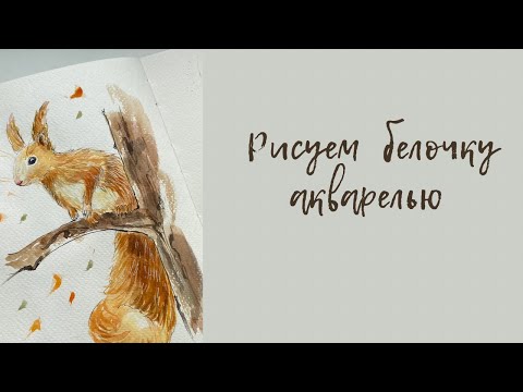 Видео: Как нарисовать белку акварелью? #акварель