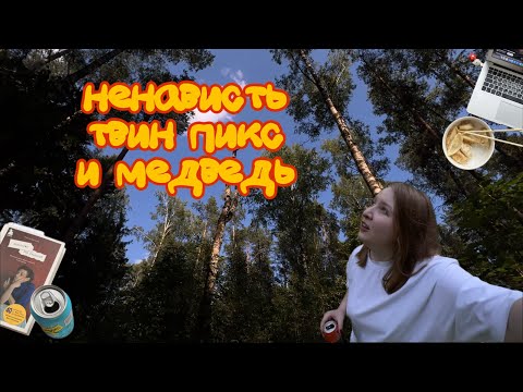 Видео: Pims / Ненависть / Твин Пикс / Медведь / Прогулка в лесу / и снова Pims