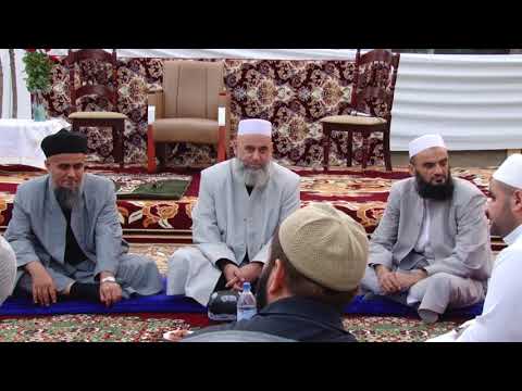 Видео: Шаби кадри 2015.