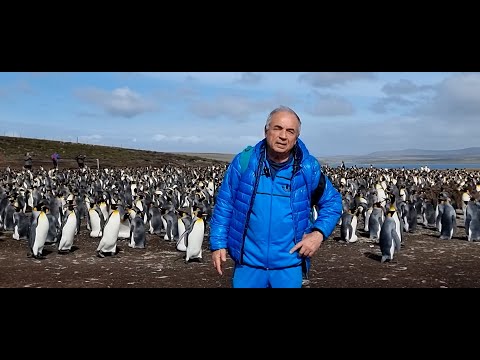 Видео: Морские круизы для начинающих. 1. Как выбрать и заказать круиз