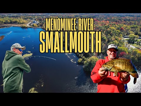 Видео: Укус осеннего малорота ВЗОРВАЛСЯ! (Безостановочное действие!)