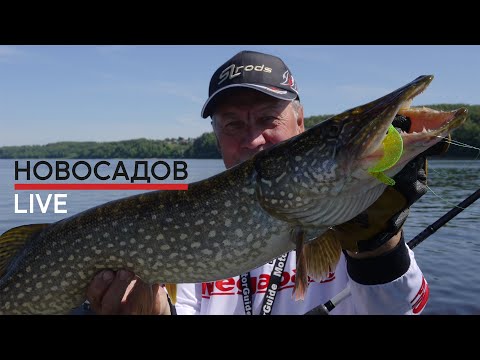 Видео: #НовосадовЛайв. Ловля на джиг с лодки!