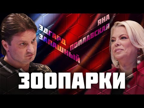 Видео: Зоопарки | Дебаты | Эдгард Запашный VS Яна Поплавская | ЖИТЬ