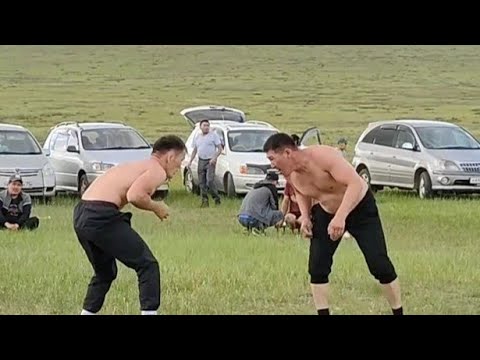 Видео: Батомункын обоогай наадан 2023. Бухэ барилдаан.