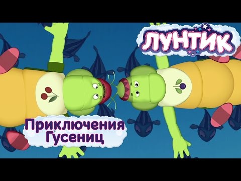 Видео: Лунтик - Приключение Гусениц. Мультики 2017