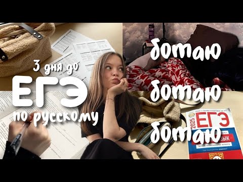 Видео: влог как я готовилась к егэ по русскому, моя подготовка за 3 дня до егэ