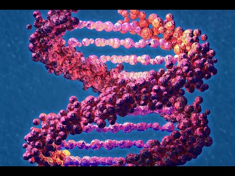 Видео: Биология с нуля: Решение задач на принцип комплиментарности.