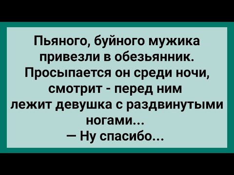 Видео: Мужик в Обезьяннике! Сборник Свежих Анекдотов! Юмор!.
