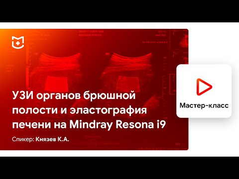 Видео: УЗИ органов брюшной полости и эластография печени на Mindray Resona i9