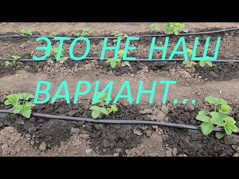 Видео: Капельный (капиллярный) полив для теплицы. Где  купить. Как смонтировать. Какой лучше.
