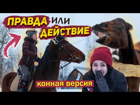 Видео: Правда или Действие В КОНЮШНЕ // Конная Версия