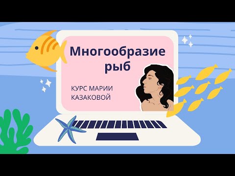 Видео: Урок ''Многообразие рыб'' — ЦТ, ЕГЭ, ЗНО.