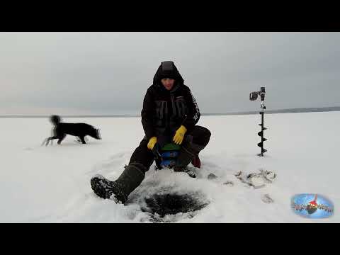 Видео: Прошлогодний Окунь! 204шт. с лунки! Пару слов о Huntsman "Siberia Lux" после 3 лет эксплуатации.
