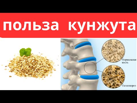 Видео: Что будет, если каждый день есть семена КУНЖУТА