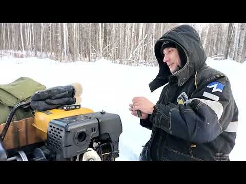 Видео: Охота на соболя, вторая избушка (Sable hunting, second hut)