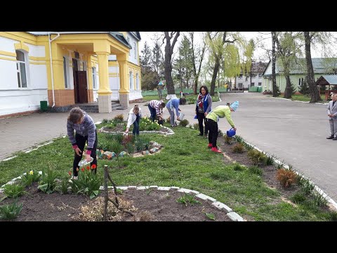 Видео: Основні риси системи трудового виховання.