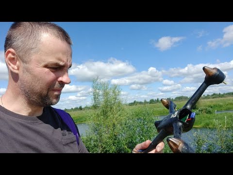 Видео: Ржавец (Ржавица) Омская область г.Тара