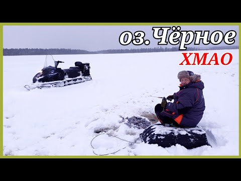 Видео: Озеро чёрное.Рыбалка на окуня.