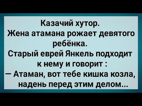 Видео: Атаман! Надень Перед Этим Делом! Сборник Свежих Анекдотов! Юмор!.