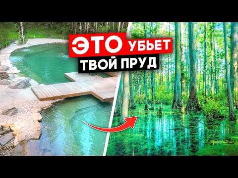 Видео: Почему у 95% прудов вода мутная? Для прозрачной нужно это...
