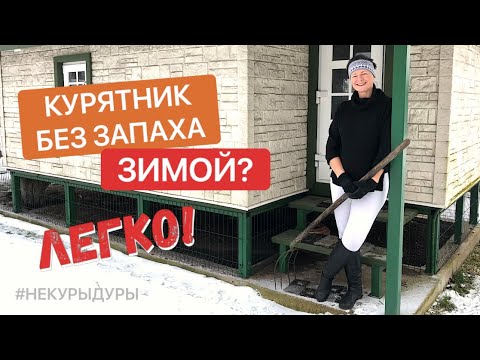 Видео: Курятник без запаха зимой. Зимняя уборка курятника