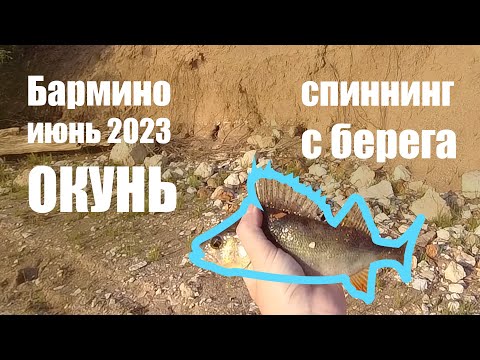 Видео: Отводной поводок и джиг. Окунь на Волге в Нижегородской области. Первое видео сезона 2023.