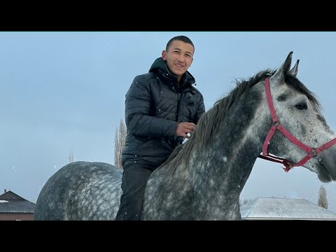 Видео: Арзан ПОЛЬША🔥8 ноября 2025 г.