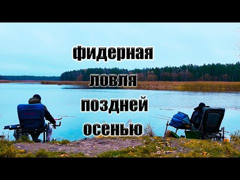 Видео: Фидерная ловля подлещика поздней осенью.