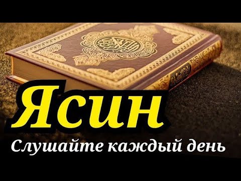 Видео: ЯСИН СЛУШАЙТЕ КАЖДЫЙ ДЕНЬ