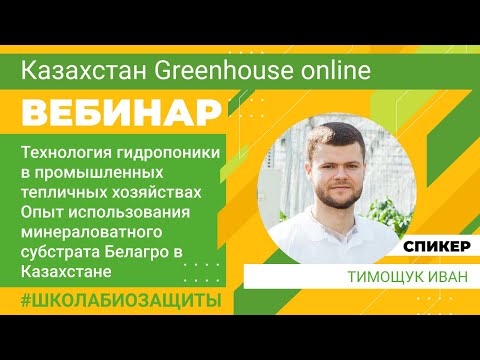 Видео: Гидропоника в теплицах. Использования минераловатного субстрата Белагро в Казахстане. Тимощук Иван