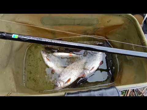 Видео: Нові враження з Preston Dutch Master 4.32/160  Осіння Плітка. Зелена Гатка