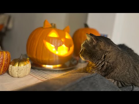 Видео: Вырезаем тыквы на 🎃 Хеллоуин. Джек фонарь 🎃