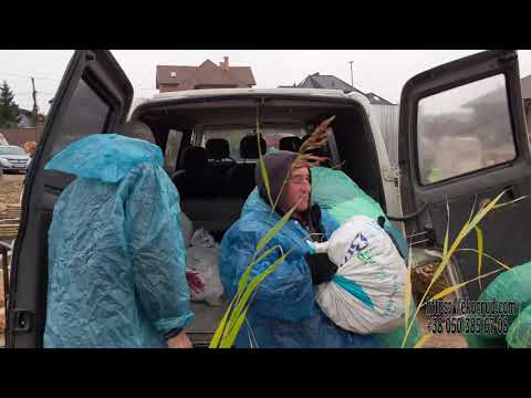 Видео: Строительство пруда для осетра с островом (часть 5)