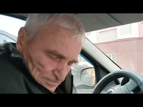 Видео: 14 ноября 2025 г. Угостила кошек. Едем на рынок и в магазин. 