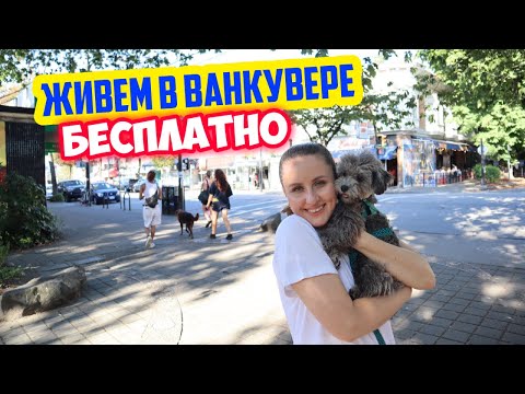 Видео: Первая работа Самира в Канаде. Бомжуем в Ванкувере