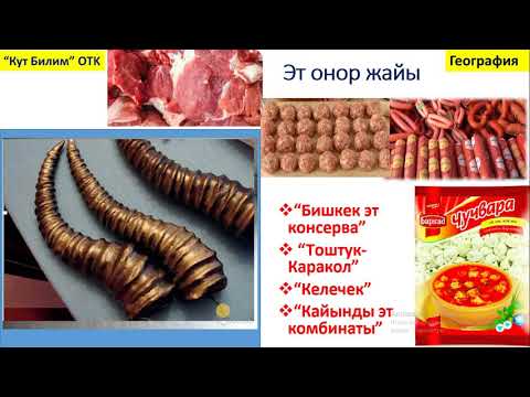 Видео: 9 класс Tамак аш жана женил онор жайы