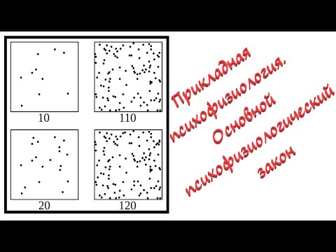 Видео: Основной психофизический закон