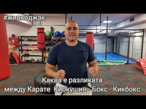 Видео: Карате, бокс и кикбокс 🥊Защо е хубаво да тренираме различни бойни изкуства.