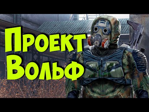 Видео: ☢ S.T.A.L.K.E.R. Проект Вольф ☢ # Новинка! 04.11.2024!