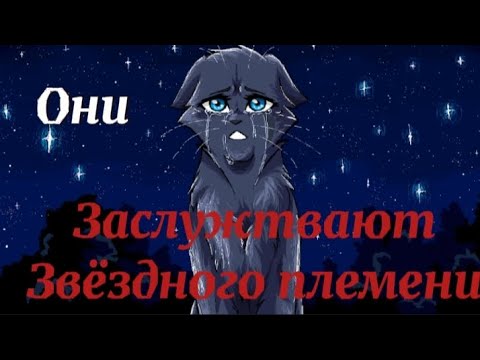 Видео: Коты-воители, которые заслуживают Звёздного племени.