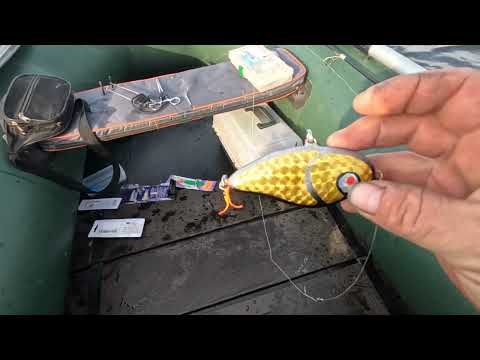 Видео: Кенгирское водохранилище снова радует. 