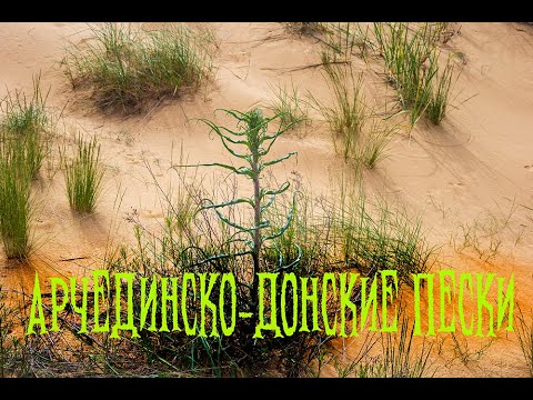 Видео: Арчединско-Донские пески. Фильм.