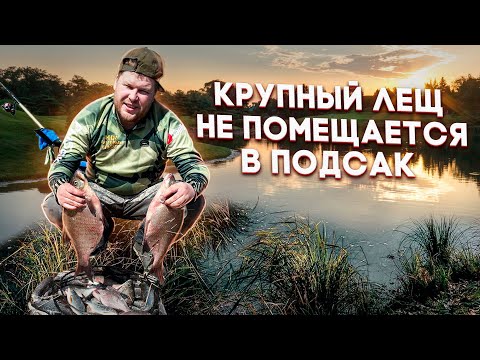 Видео: БЕШЕННЫЙ КЛЕВ НА РЕКЕ. НАЛОВИЛИ МНОГО ЛЕЩА